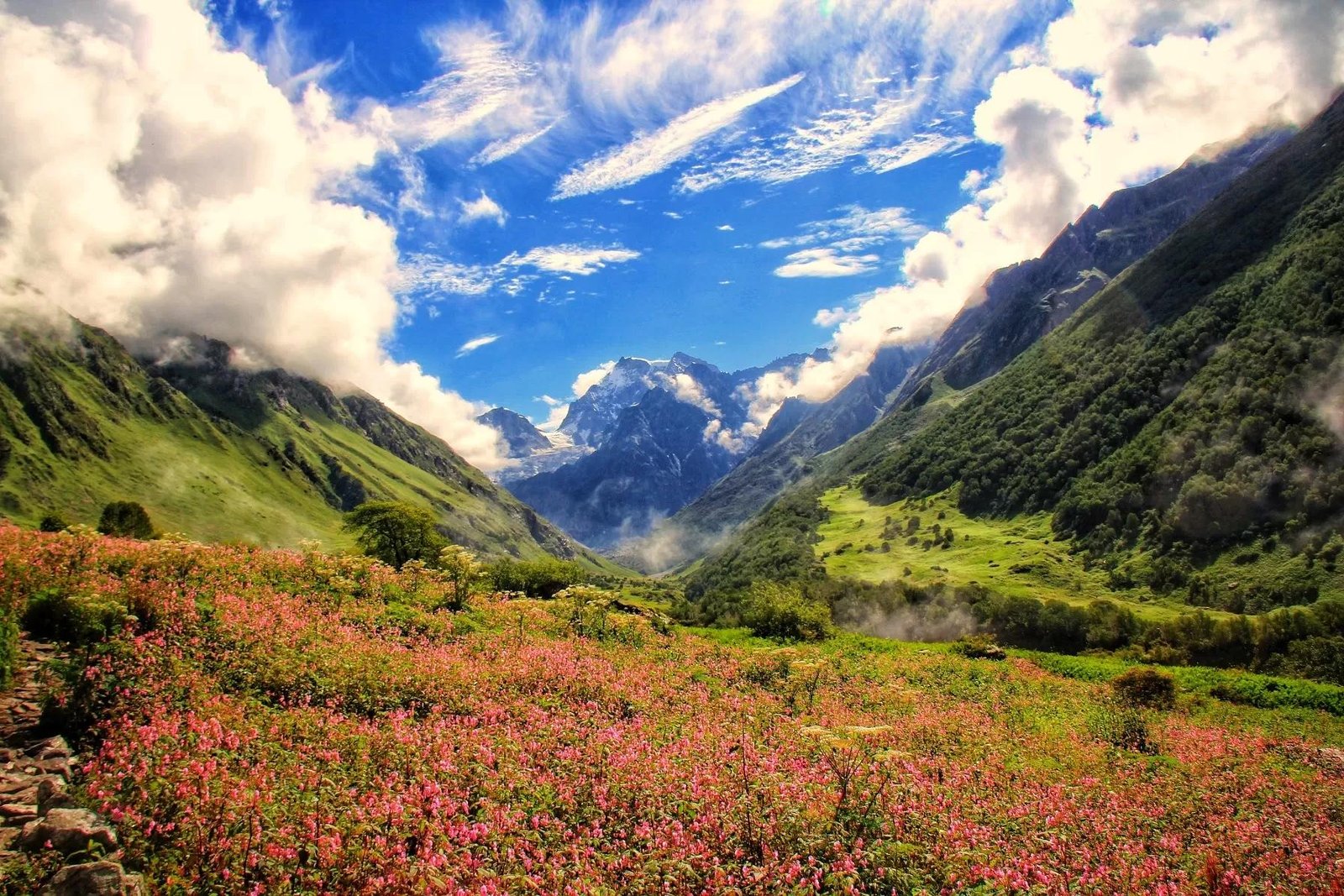Hemkund Sahib Gurudwara and Valley of Flowers Trek in Uttarakhand